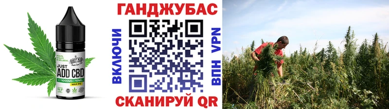 Купить  Дигора  Cannafood конопля 