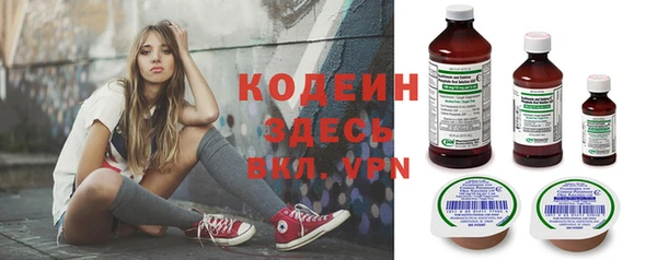 крисы Бронницы