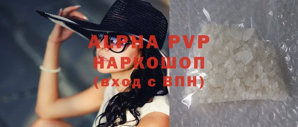 прущие грибы Бородино