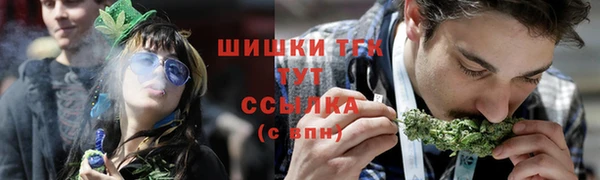 прущие грибы Бородино