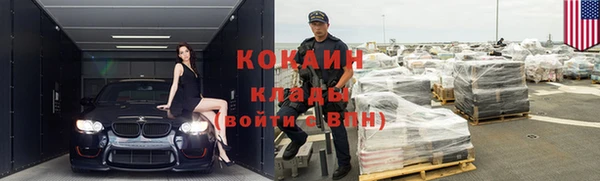 прущие грибы Бородино
