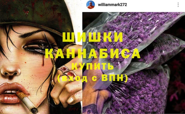 прущие грибы Бородино