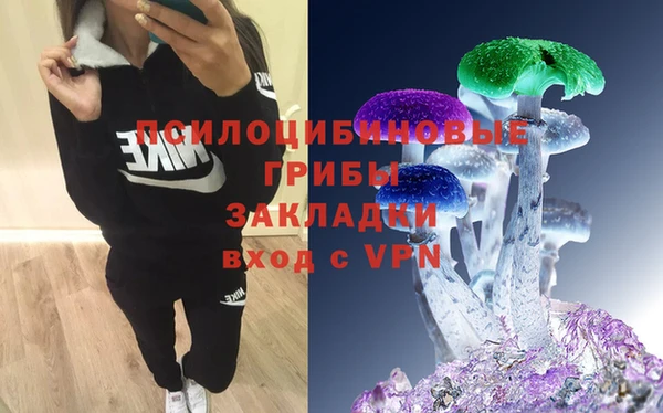 бошки Беломорск