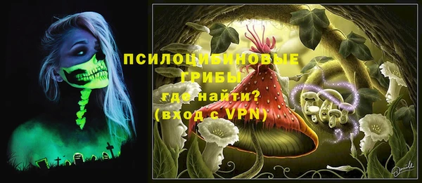 крисы Бронницы