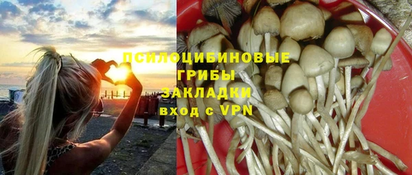 крисы Бронницы