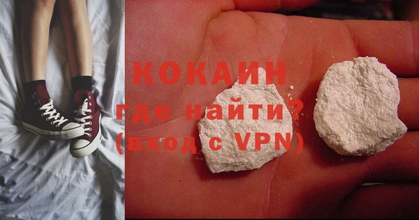 прущие грибы Бородино