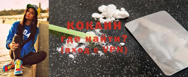 крисы Бронницы