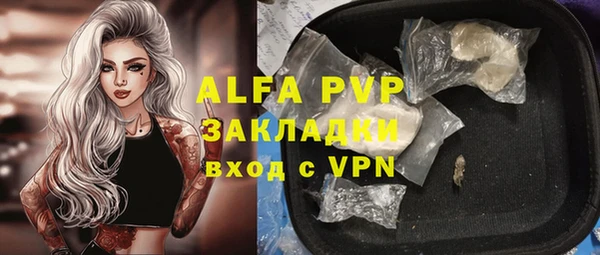 прущие грибы Бородино