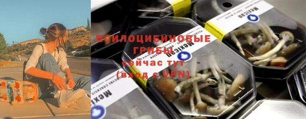 прущие грибы Бородино