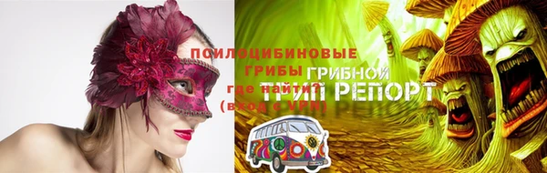 прущие грибы Бородино